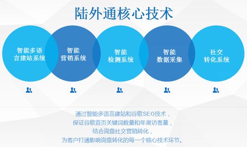 外貿(mào)網(wǎng)絡(luò)營銷推廣與建設(shè) 策略與實(shí)踐