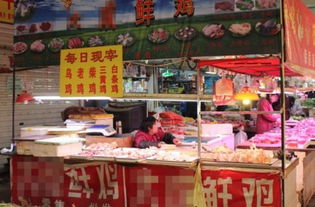 探訪武漢家禽交易市場(chǎng)現(xiàn)狀
